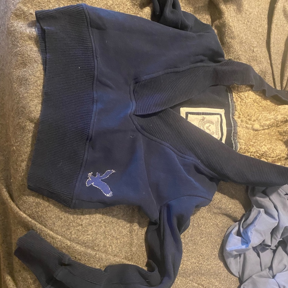 American Eagle Outfitters Navy Blue Cropped Hoodie